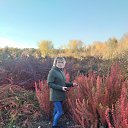 ���� �������, ������������, 51 ��� - ��������� 8 ������ 2023 � ������ ���� ����������