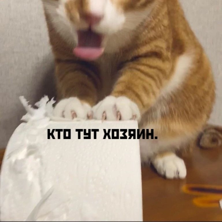 ��� ���� � ����� �� �� - 4 ������ 2026 � 16:23 - 5