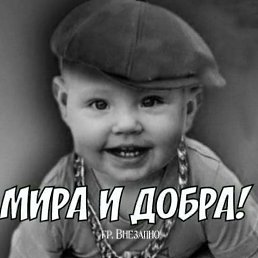 ���� �����, ���������, 52 ���� - ��������� 1 ������ 2026