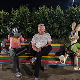 , 66, 