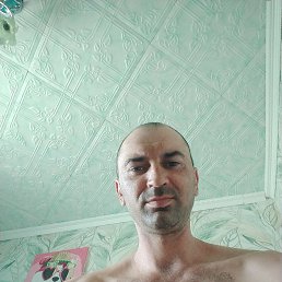 , 33, 