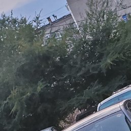 ������, ������������, 23 ����
