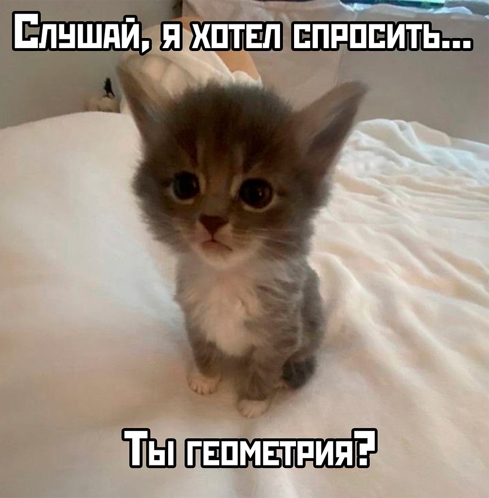 T oo ae, oy o cy