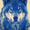 ���� Vahid, �������, 45 ��� - ��������� 2 ��� 2026