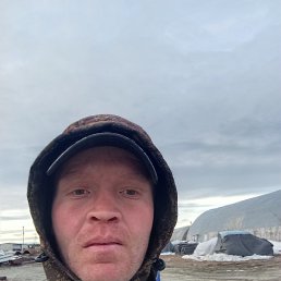 ������, 33 ����, ������