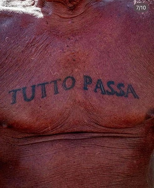 Tutto passa. ��� ����������� �����, ����������� ��� ��� ��������. ��� ������������ ��� ����������� ... - 4