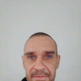 , 44, 