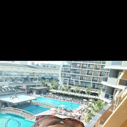 ���� ����, �����, 43 ���� - ��������� 13 ������ 2024