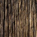 ���� ��������, �����, 38 ��� - ��������� 6 ������� 2025 � ������ ���� ����������