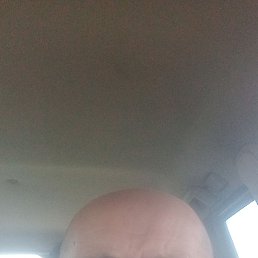 , 59, 