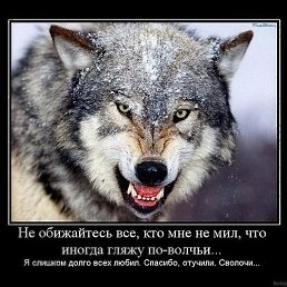 ������ !!, ������ (��������� �/�), 59 ���