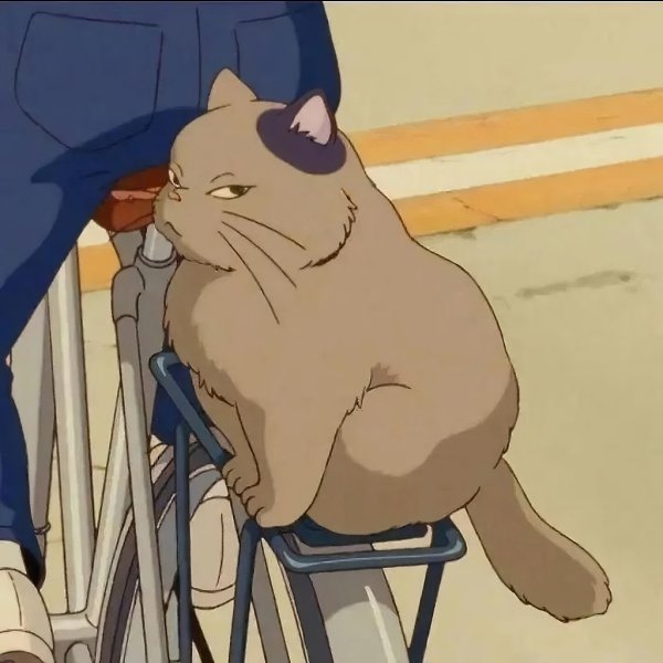 ��, ��� �������� ���������� ����� � ������ ���������� - 7