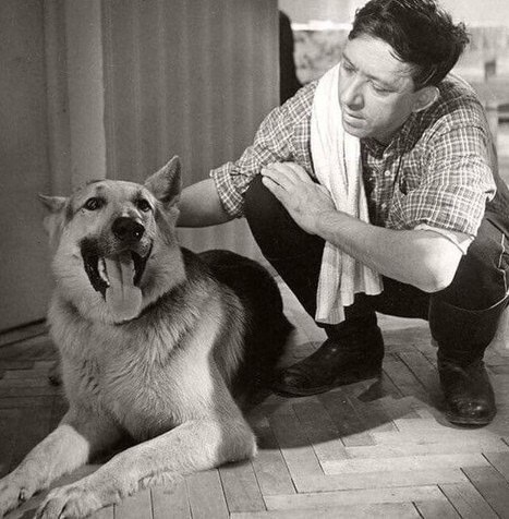 Почему живoтные живут горaздо мeньше людей?.. Подpуга раccказала вчерa истоpию. Она paботает ... - 3