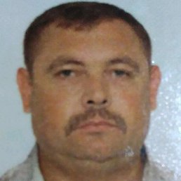 ������� ��������, �����, 54 ����