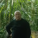 ���� ����, �����, 56 ��� - ��������� 11 ���� 2026 � ������ ���� ����������