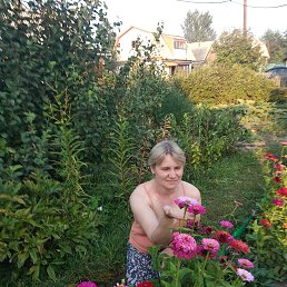 , 57, -