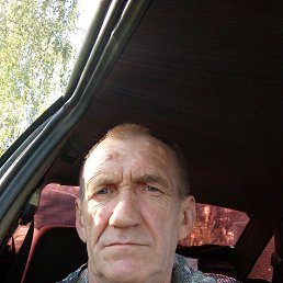 , 54, 