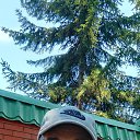 ���� ������, �������, 54 ���� - ��������� 16 �������� 2025 � ������ ���� ����������