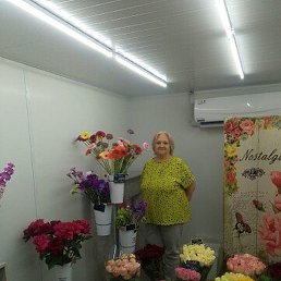 ������, ������, 66 ���