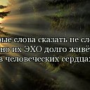  , , 53  -  11  2025   .