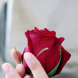 , -