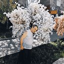 ���� ������, ����, 53 ���� - ��������� 19 ������� 2025 � ������ ���� ����������