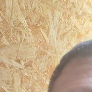 , 46 , 