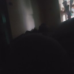 �����, ������, 33 ����