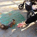 ���� ���������, ������������ - ��������� 4 ������ 2024 � ������ ���� ����������