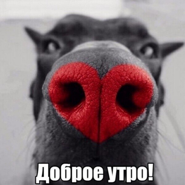 ***Victoria Viktorovna*** - 7  2025  06:56