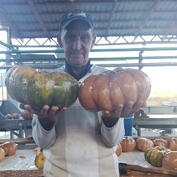 ����, �����������, 58 ���