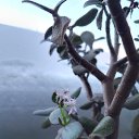 ���� ������, ������, 40 ��� - ��������� 8 ������� 2026 � ������ ���� ����������