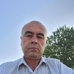 , 55, 