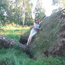 �������, ������, 38 ���