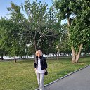 ���� ����, ��������� - ��������� 7 ������� 2026 � ������ ���� ����������