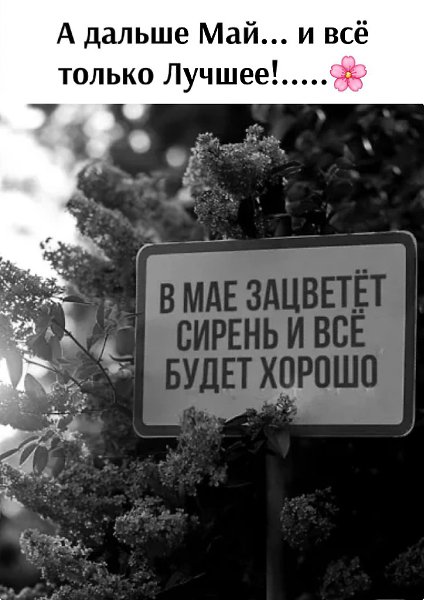  - 1  2025  11:24