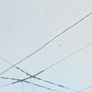 ����, 40 ���, ������������