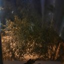���� ����, �����, 45 ��� - ��������� 6 ������� 2024 � ������ ���� ����������