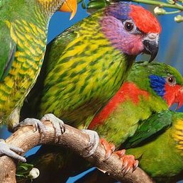 ����, ������, 48 ���