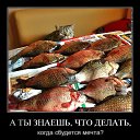 ���� ���������, ������ - ��������� 14 ������� 2026 � ������ ������