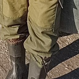 ϸ��, ����, 62 ����