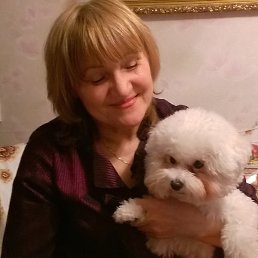 �������, ���������