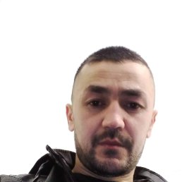 , 32, 