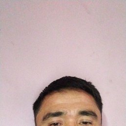 , 37, 