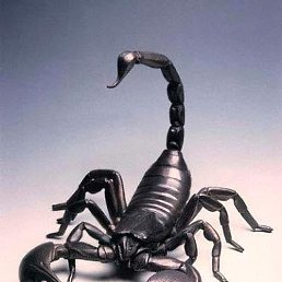 ����, �������, 59 ���