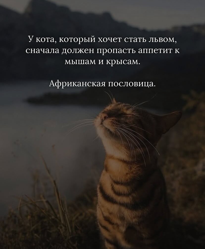 Каждая фраза - бриллиант - 3
