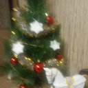 ���� ��������, ������, 45 ��� - ��������� 6 ������� 2025 � ������ ������ ��������