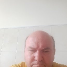 , 53, 