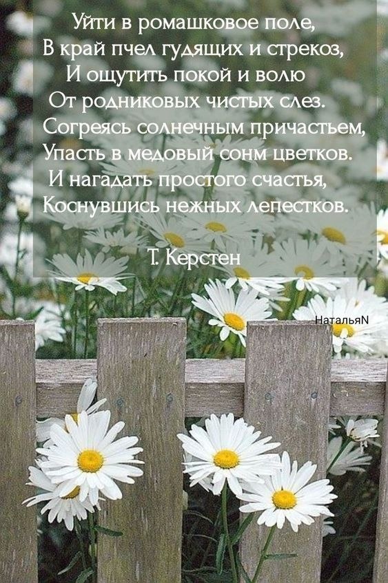   ,    . - 8  2025  21:22
