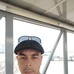 , 37, 